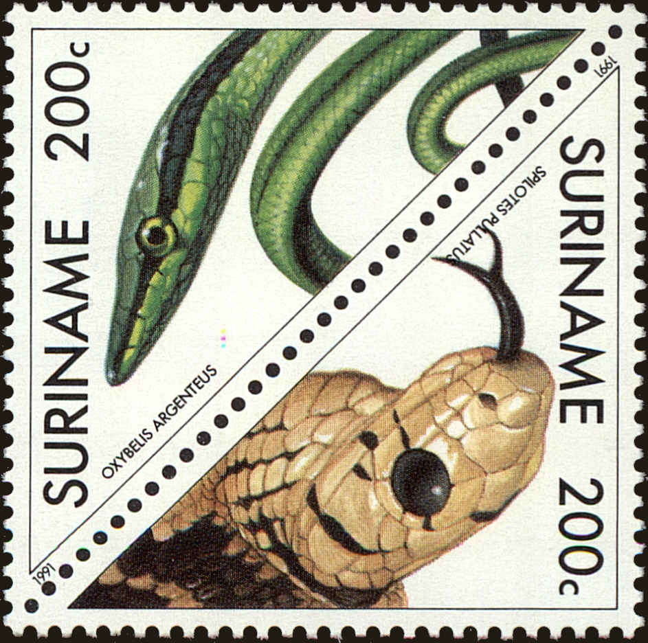 Front view of Surinam 911a collectors stamp