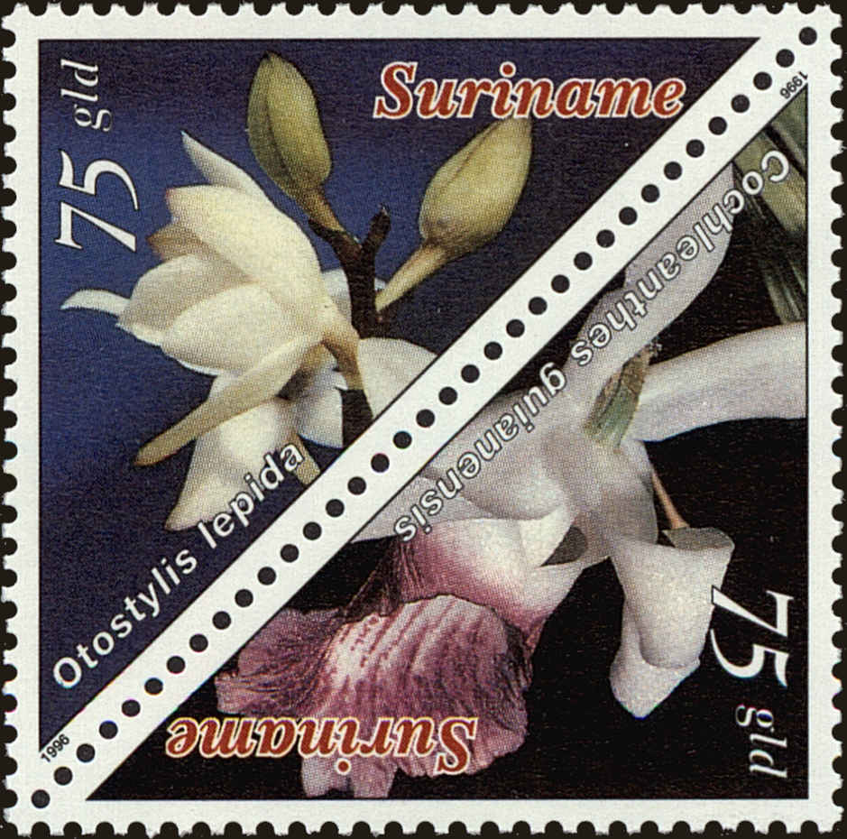 Front view of Surinam 1031a collectors stamp
