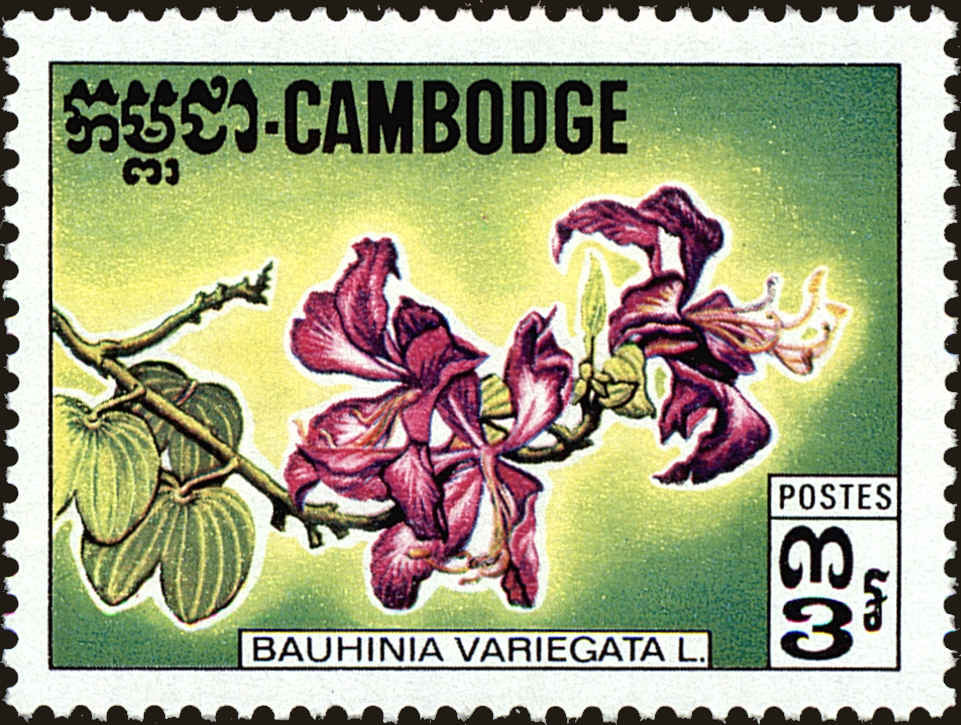 Front view of Cambodia 260 collectors stamp