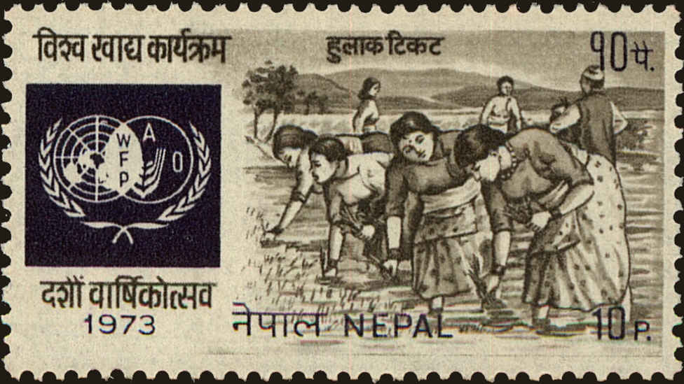 Front view of Nepal 273 collectors stamp