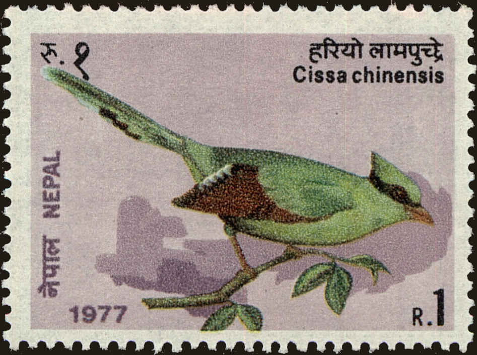 Front view of Nepal 333 collectors stamp