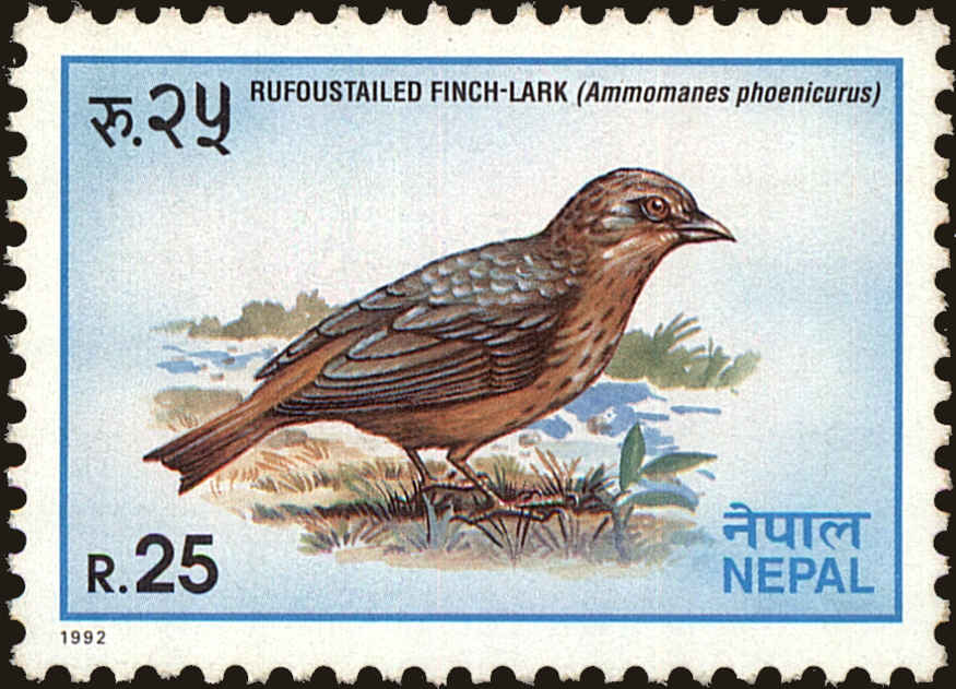 Front view of Nepal 510 collectors stamp