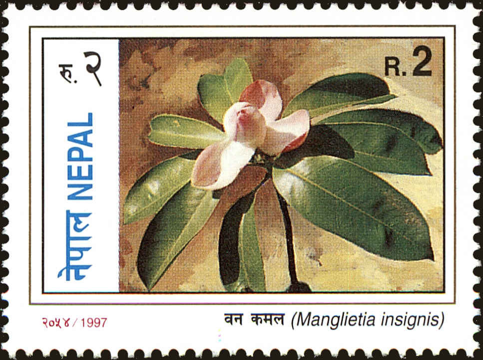 Front view of Nepal 622 collectors stamp