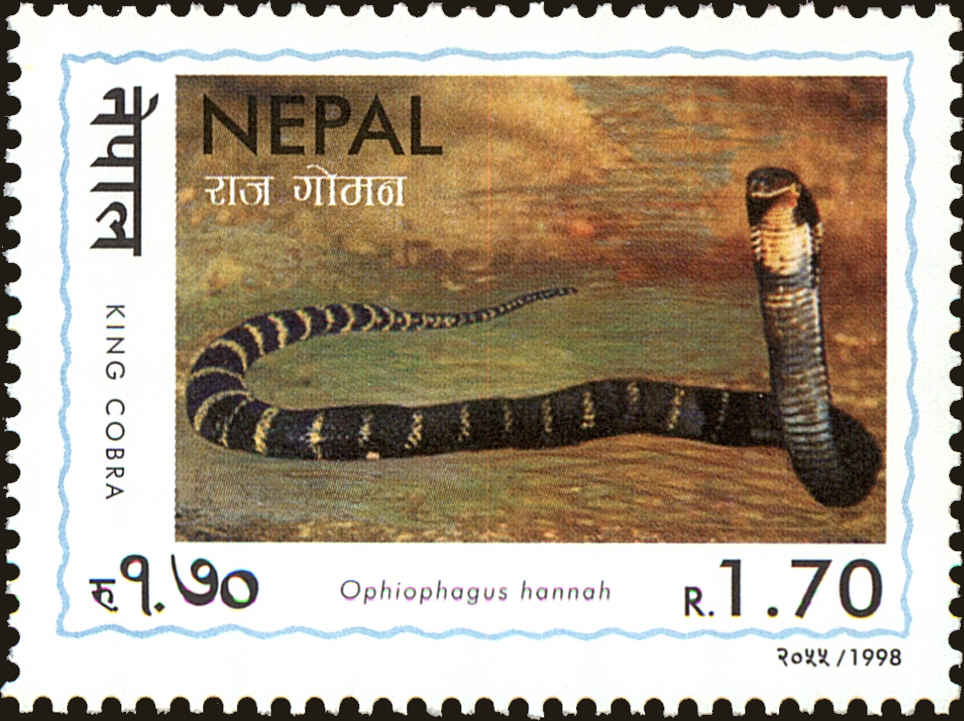 Front view of Nepal 638 collectors stamp