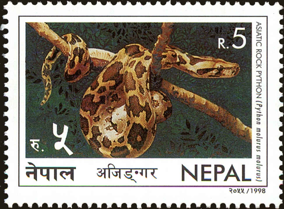Front view of Nepal 640 collectors stamp