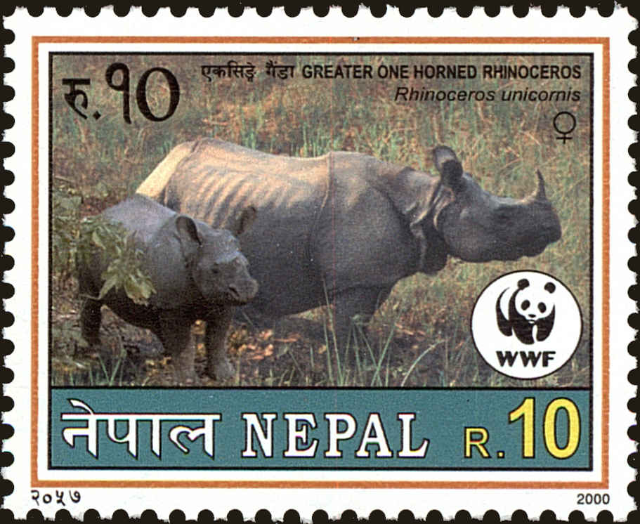 Front view of Nepal 684 collectors stamp