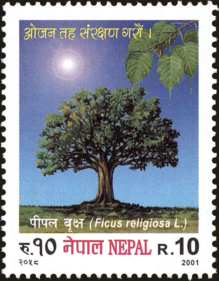 Front view of Nepal 697 collectors stamp