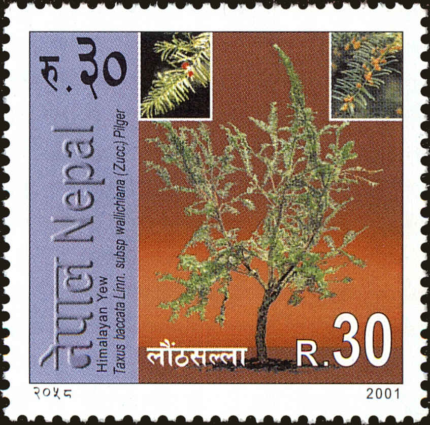 Front view of Nepal 701 collectors stamp