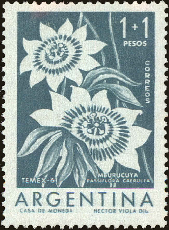 Front view of Argentina B27 collectors stamp