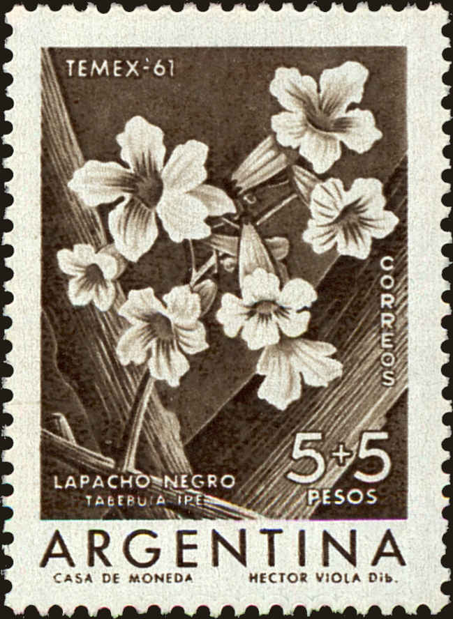 Front view of Argentina B29 collectors stamp