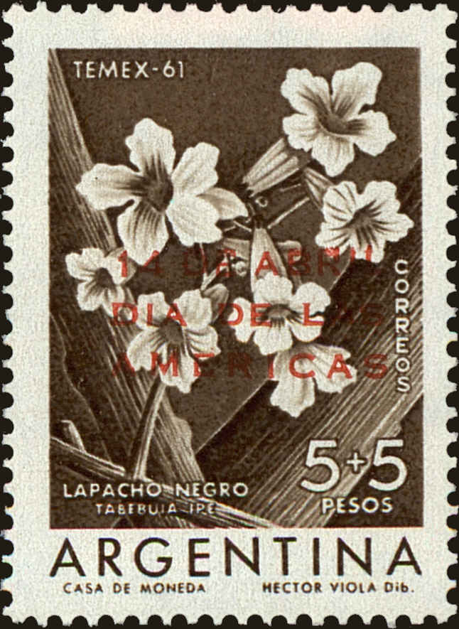 Front view of Argentina B34 collectors stamp