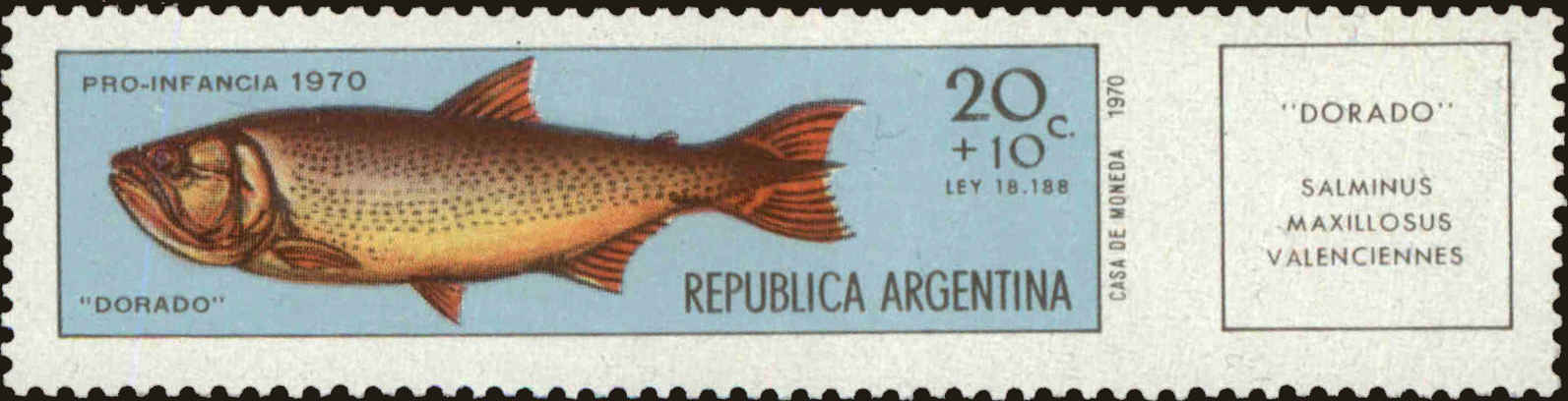 Front view of Argentina B54 collectors stamp
