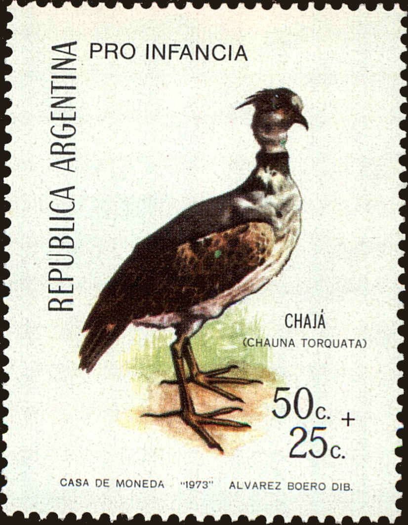 Front view of Argentina B58 collectors stamp