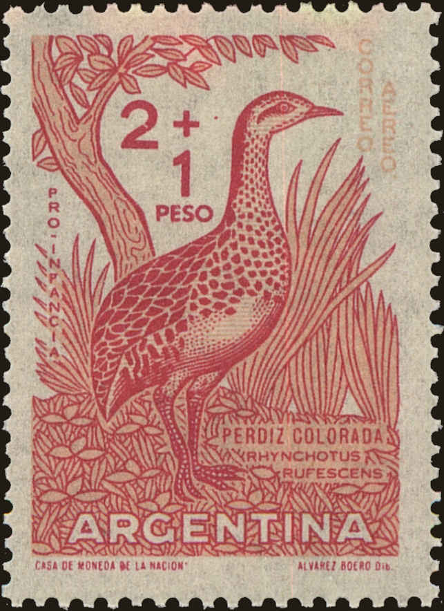 Front view of Argentina CB17 collectors stamp