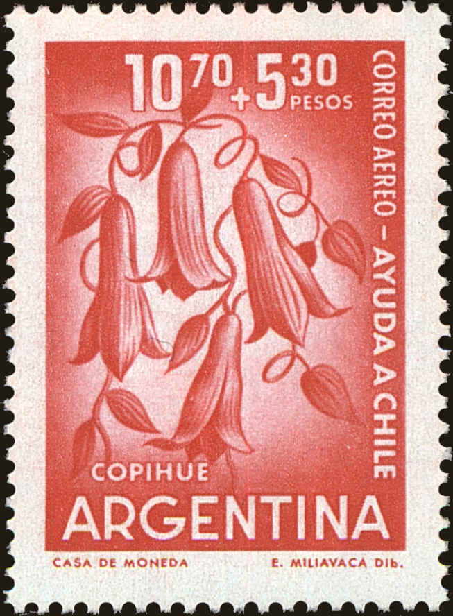 Front view of Argentina CB24 collectors stamp