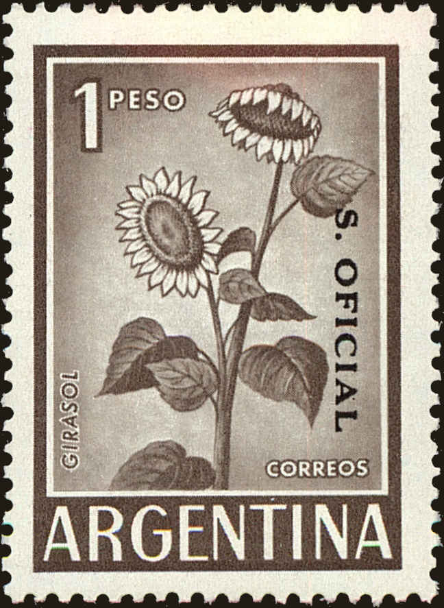 Front view of Argentina O117A collectors stamp