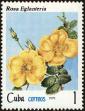 Stamp ID#208816 (1-257-2072)