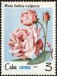 Stamp ID#208818 (1-257-2074)