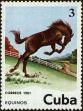 Stamp ID#207720 (1-257-976)