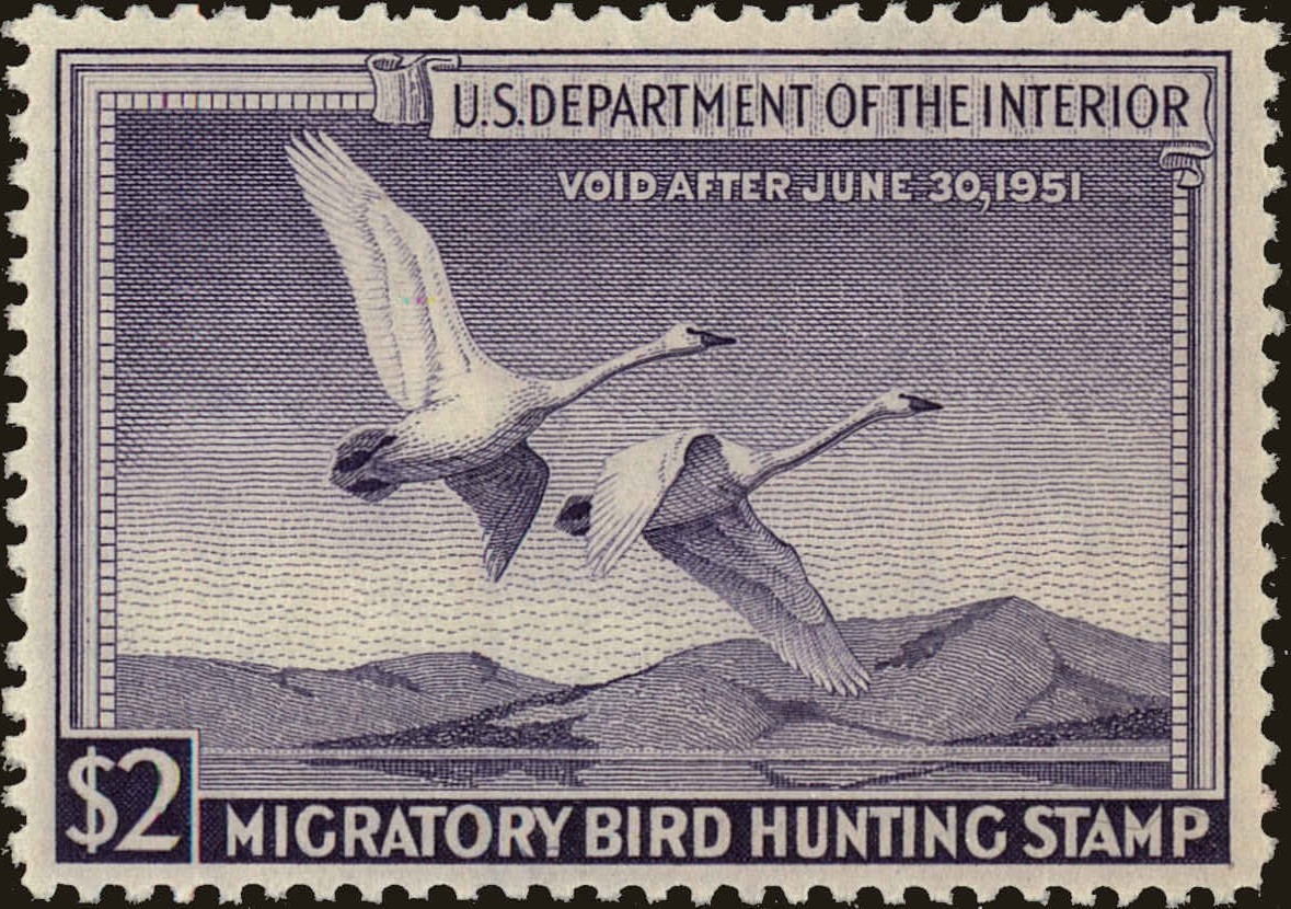 Front view of United States RW17 collectors stamp