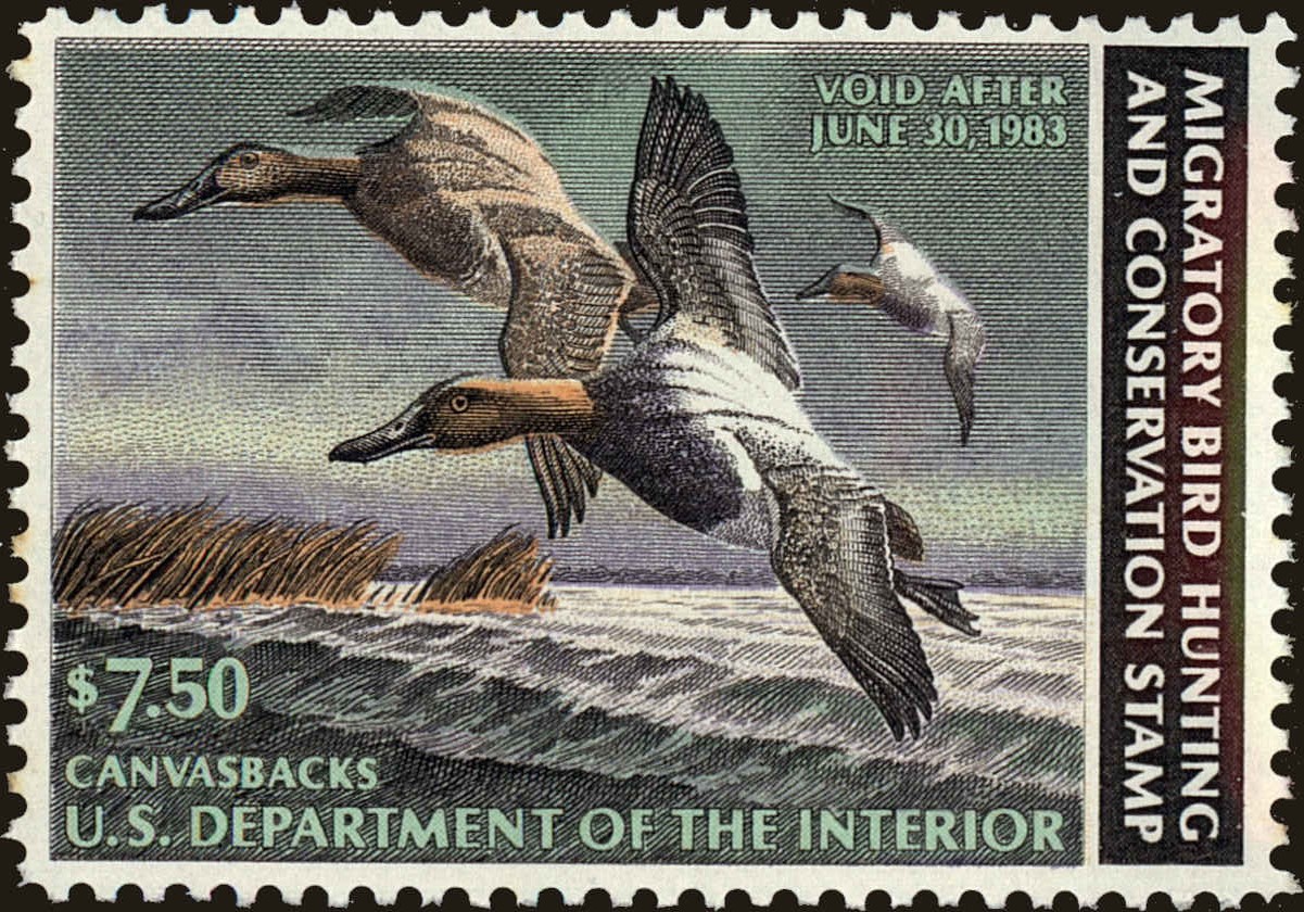 Front view of United States RW49 collectors stamp