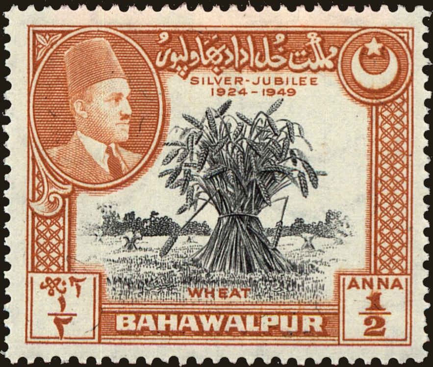 Front view of Bahawalpur 23 collectors stamp