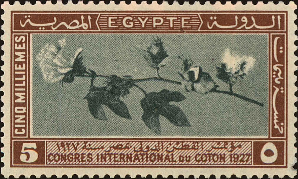 Front view of Egypt (Kingdom) 125 collectors stamp