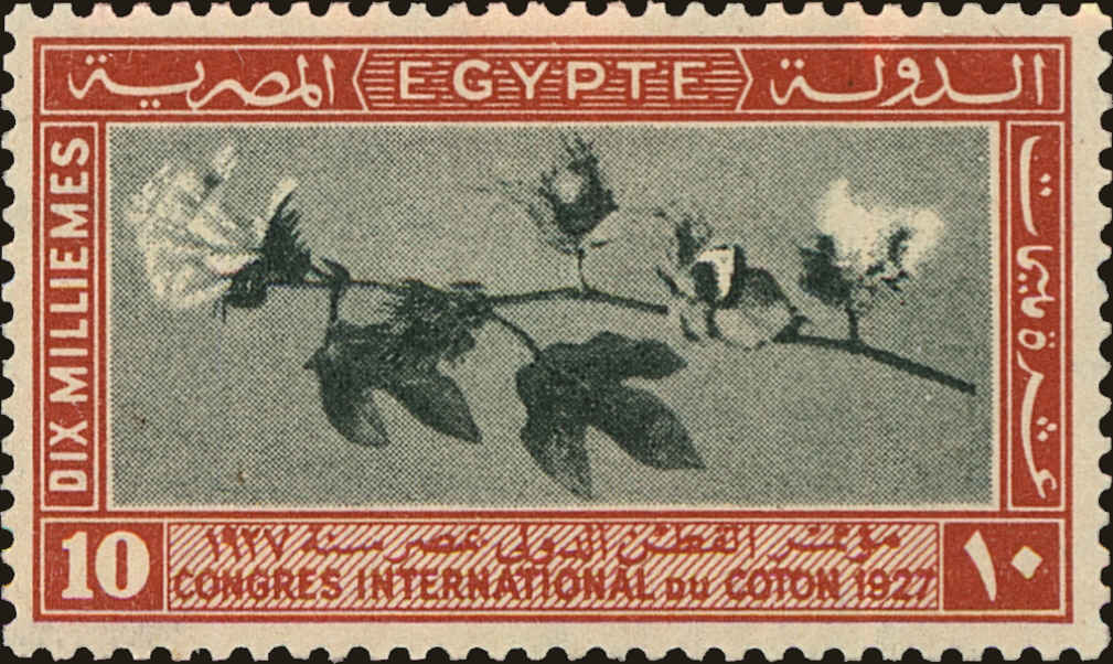 Front view of Egypt (Kingdom) 126 collectors stamp