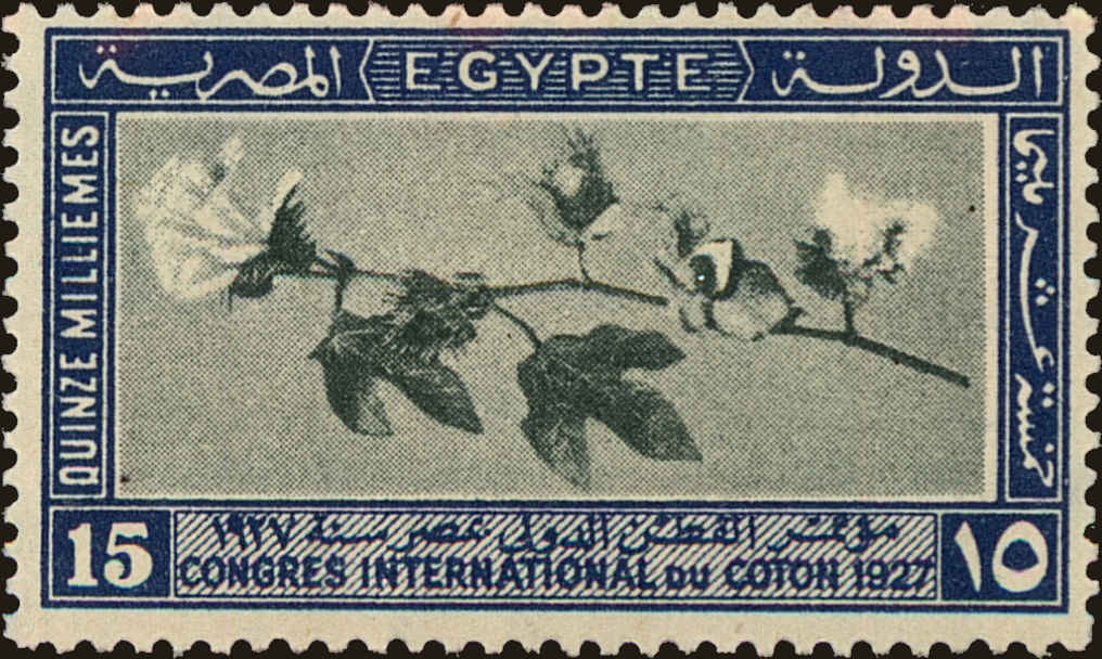 Front view of Egypt (Kingdom) 127 collectors stamp