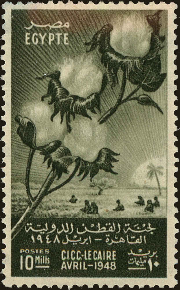 Front view of Egypt (Kingdom) 270 collectors stamp