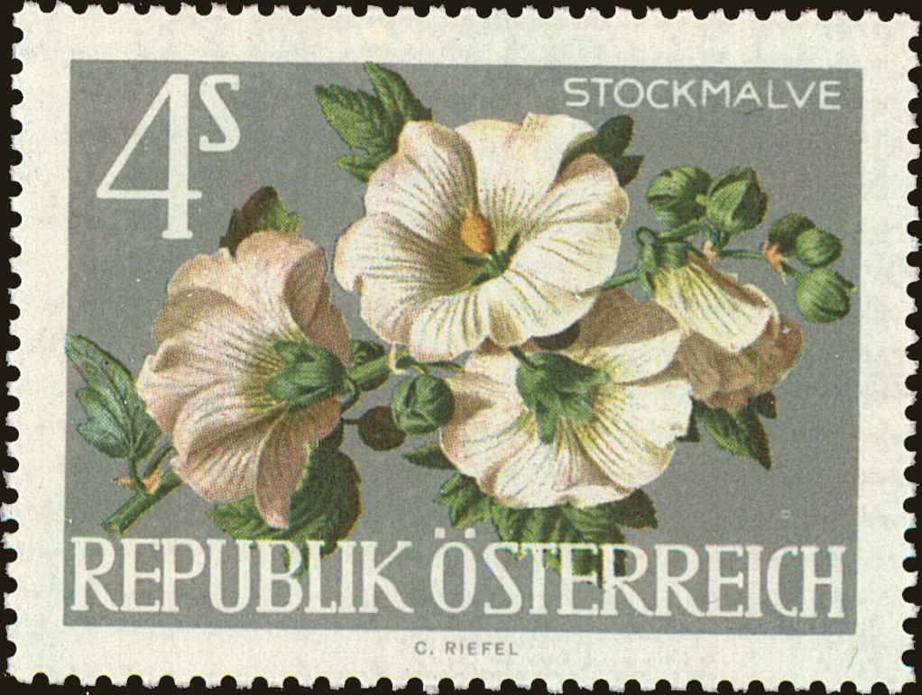 Front view of Austria 724 collectors stamp