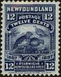 Stamp ID#229981 (1-274-326)