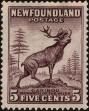 Stamp ID#230010 (1-274-355)
