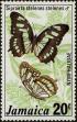 Stamp ID#233895 (1-276-1703)