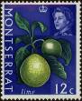 Stamp ID#234422 (1-276-2231)