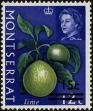 Stamp ID#234444 (1-276-2254)