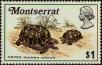 Stamp ID#234516 (1-276-2326)
