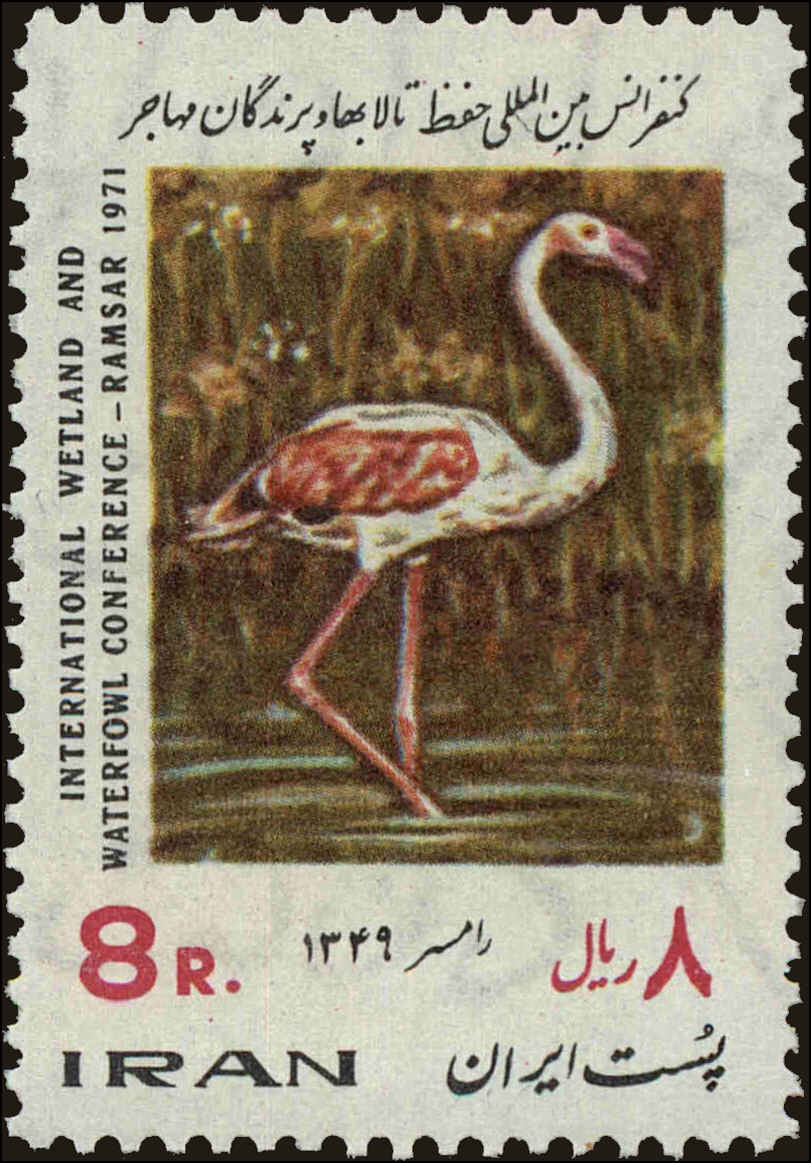 Front view of Iran 1584 collectors stamp