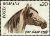 Stamp ID#236534 (1-276-4350)