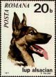 Stamp ID#236546 (1-276-4362)