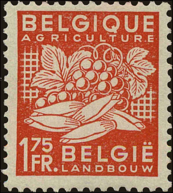 Front view of Belgium 377 collectors stamp