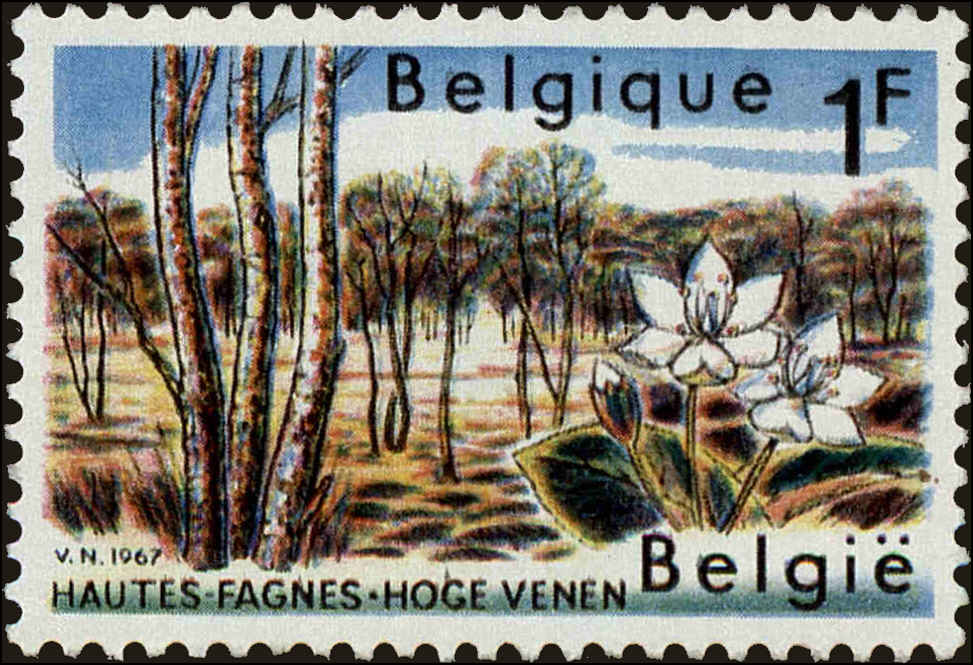 Front view of Belgium 683 collectors stamp
