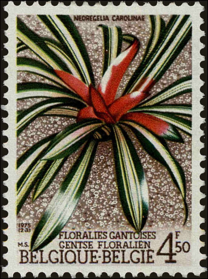Front view of Belgium 913 collectors stamp