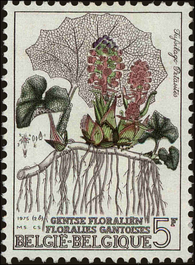 Front view of Belgium 914 collectors stamp