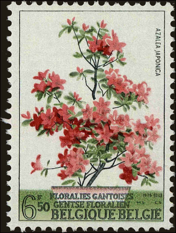 Front view of Belgium 915 collectors stamp