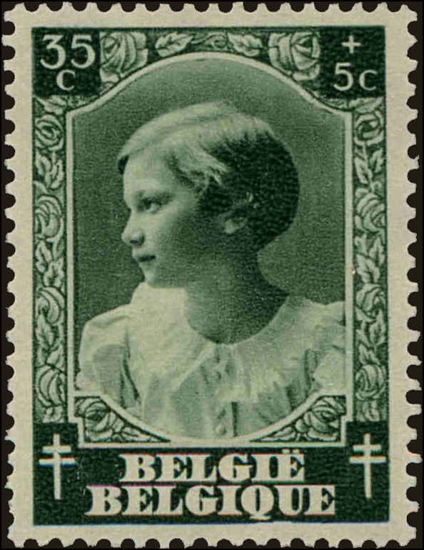 Front view of Belgium B202 collectors stamp