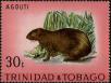Stamp ID#232967 (1-276-773)