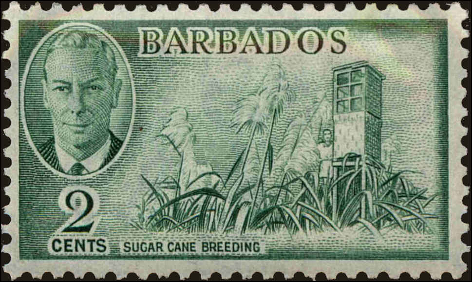 Front view of Barbados 217 collectors stamp