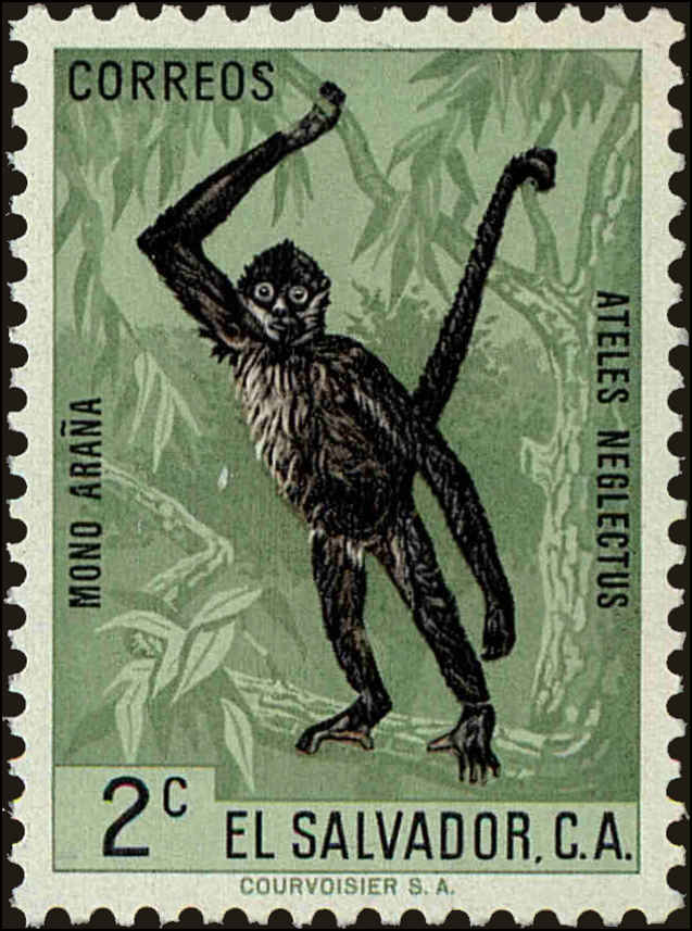 Front view of Salvador, El 739 collectors stamp