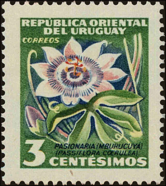 Front view of Uruguay 608 collectors stamp